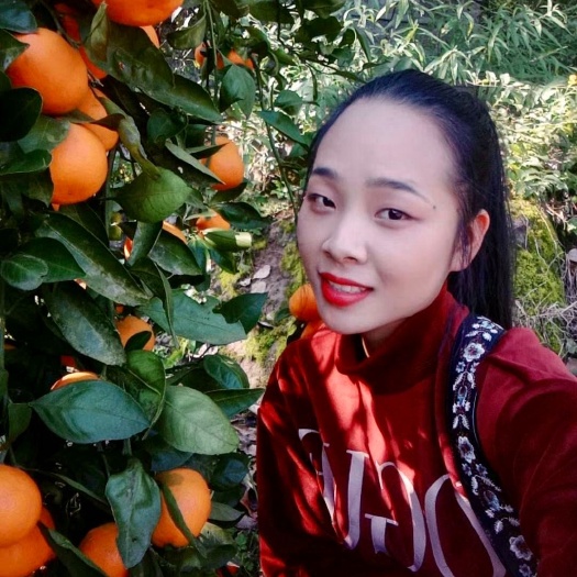 枝江市特早蜜桔  蜜橘 密桔 柑桔 湖北宜昌批发市场