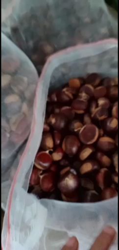  云南板栗批发