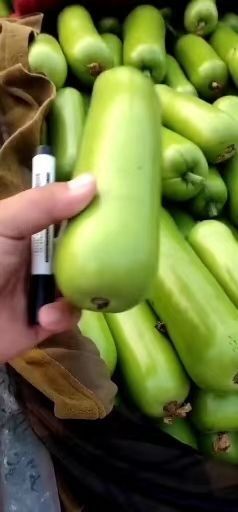 邯郸瓠瓜