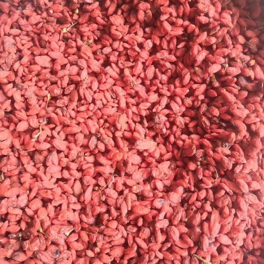 中卫宁杞7号 好吃健康