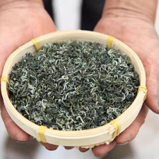 大方县高山绿茶  高山云雾茶