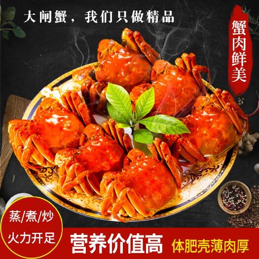 东营黄河口大闸蟹  大闸蟹，我们只做精品