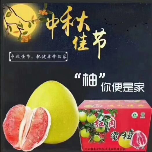 大余县红心柚  红肉柚子包邮