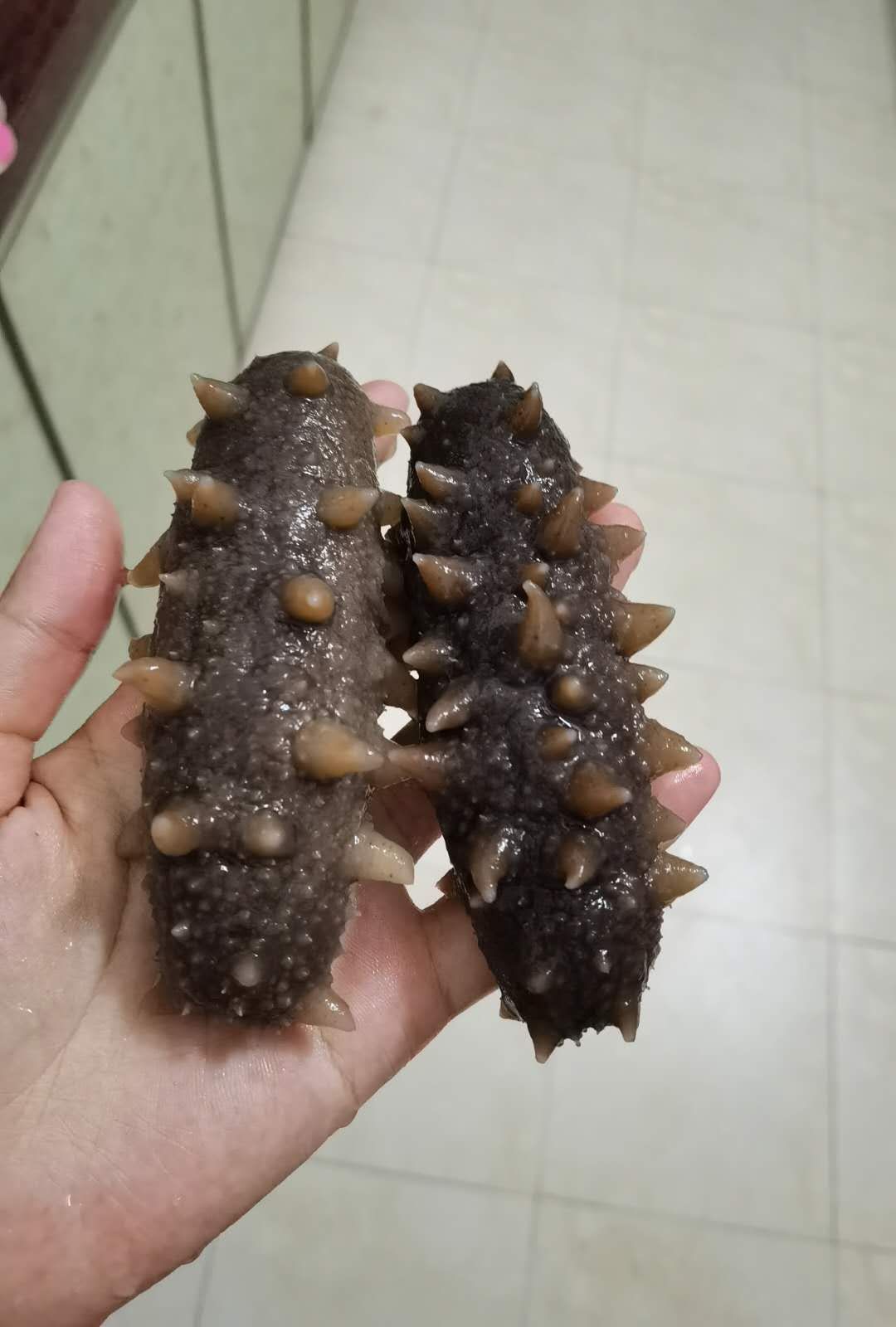 即食海参  电商专用，自家食用良品【包邮】【厂家直销】3-10每斤