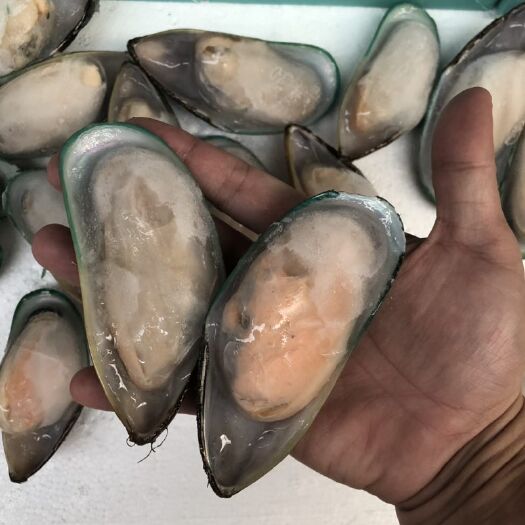 广州青口贝，20斤一件，2斤*10包