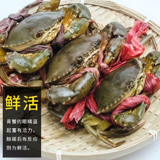 三门县青蟹 4.0两以上 统货 人工养殖 