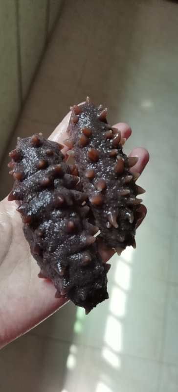 即食海参  电商专用，自家食用良品【包邮】【厂家直销】3-10每斤