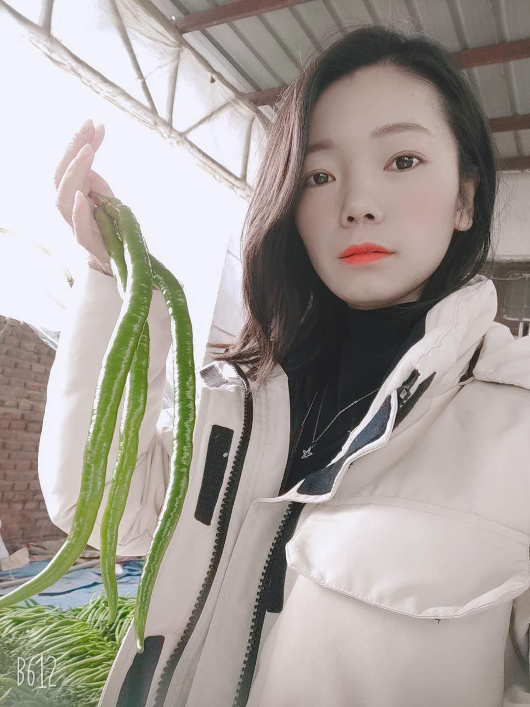 山东线椒