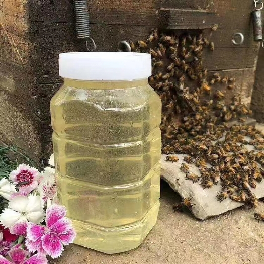 泌阳县 洋槐蜜又名刺槐、槐花蜜。