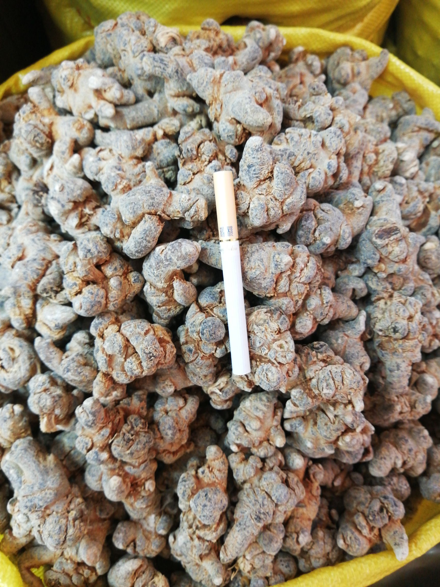 文三七  27头