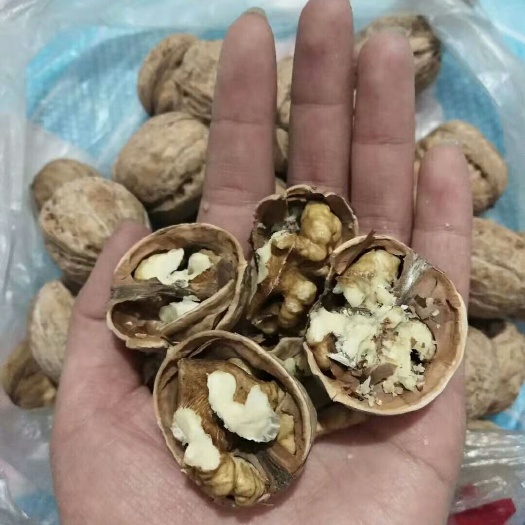 唐山鲜核桃  河北大核桃，皮薄无药物泡制。天然核桃