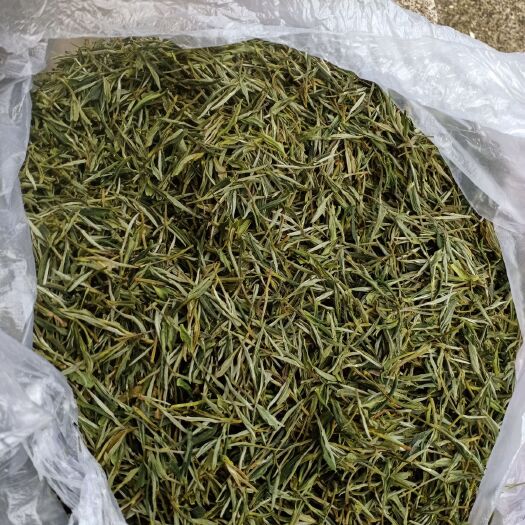 石台县毛峰茶  前胜茶厂