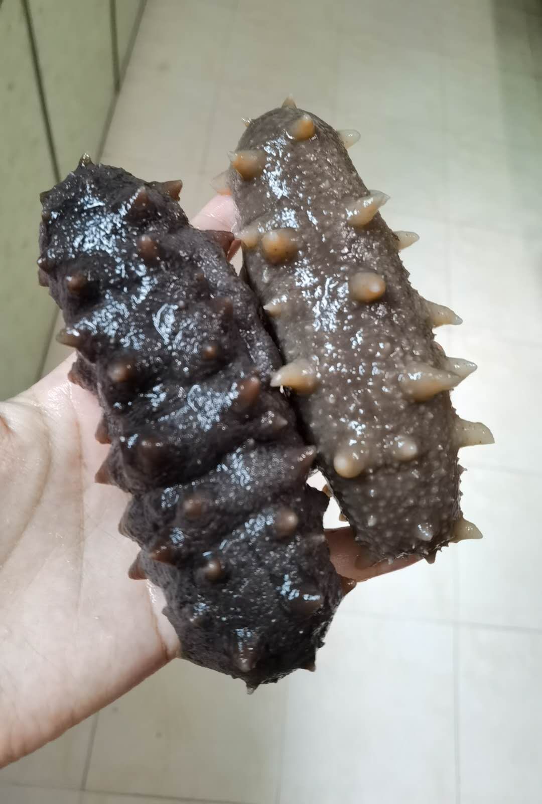 即食海参  电商专用，自家食用良品【包邮】【厂家直销】3-10每斤