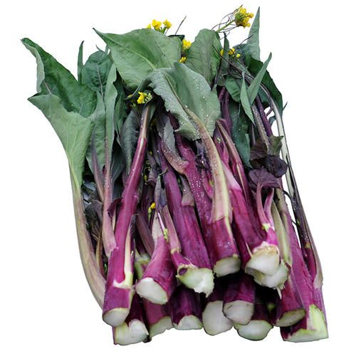 百亩红菜苔开始种植，千亩基地寻求采购