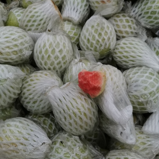 隆安县红心芭乐 个大脆甜多汁