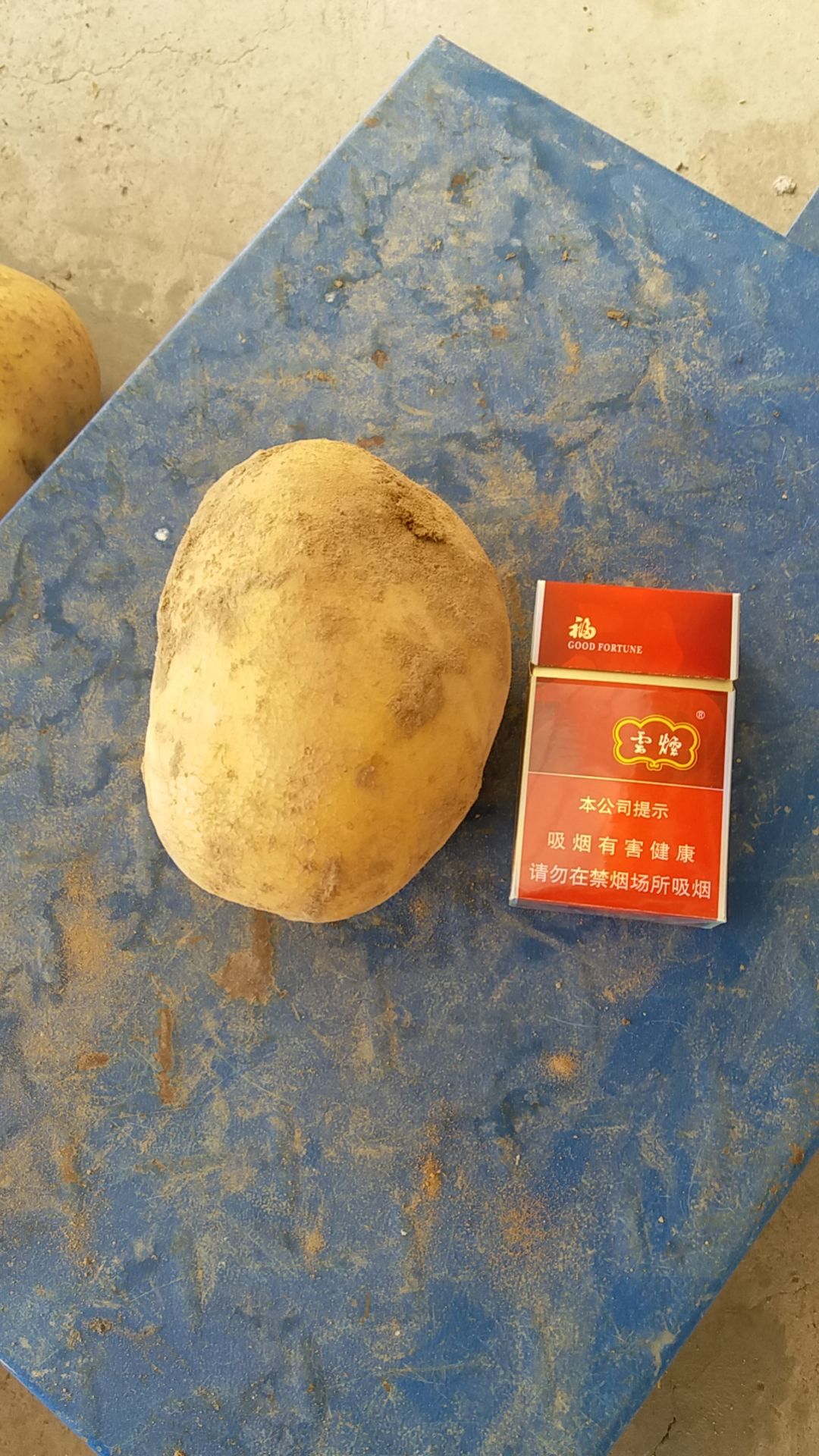 希森6号土豆,沙土地优质品