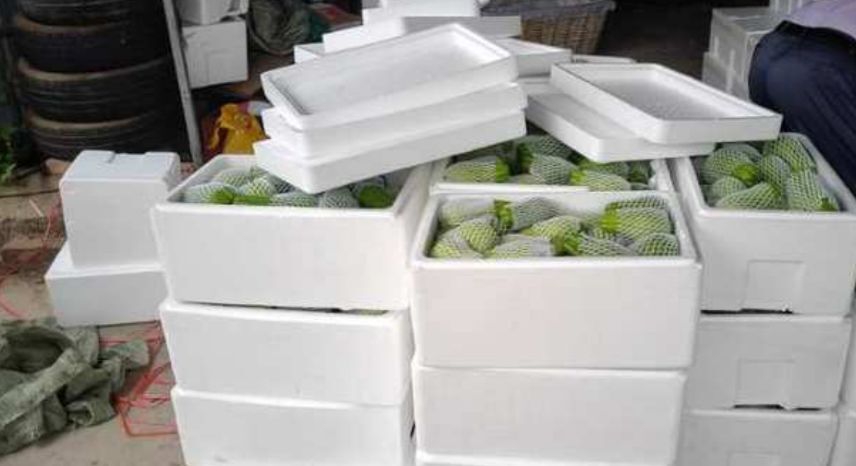 惠水县泡沫箱网套双重防护包装精品佛手瓜大量有货基地直发