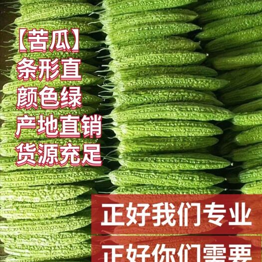 兰陵县绿苦瓜  优质苦瓜，供应量足，诚信经营，质量保证