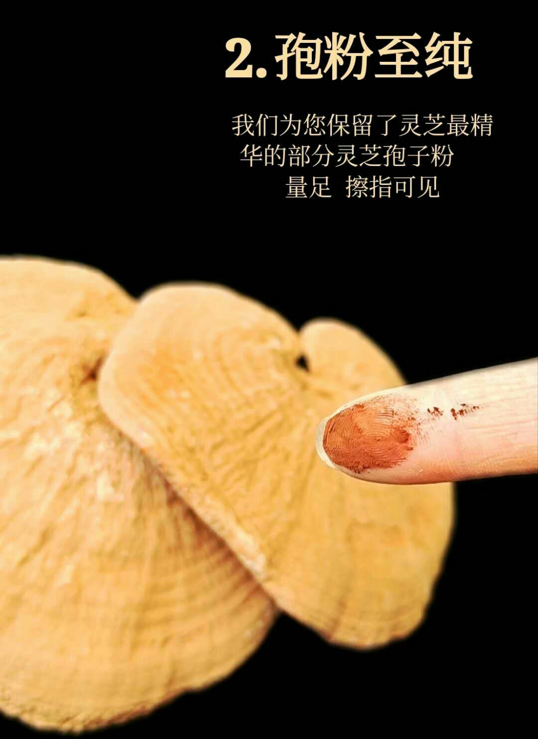 赤灵芝  长白山灵芝