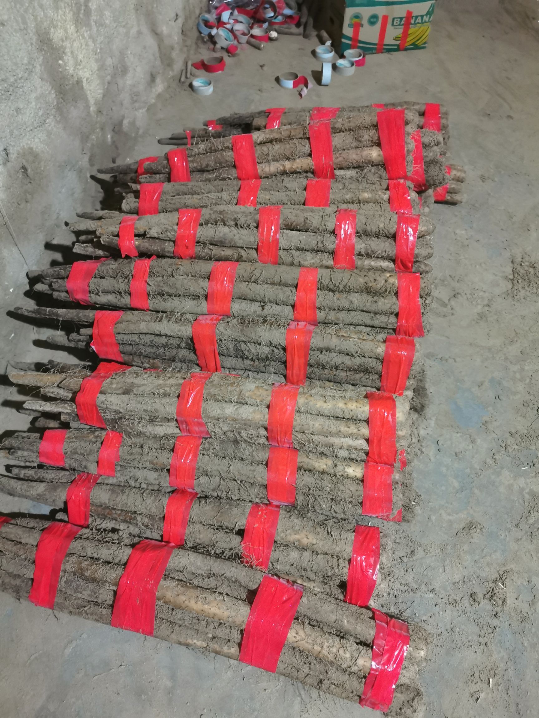 白玉山药 广东精品假铁棍白玉长条山药现货大量供应