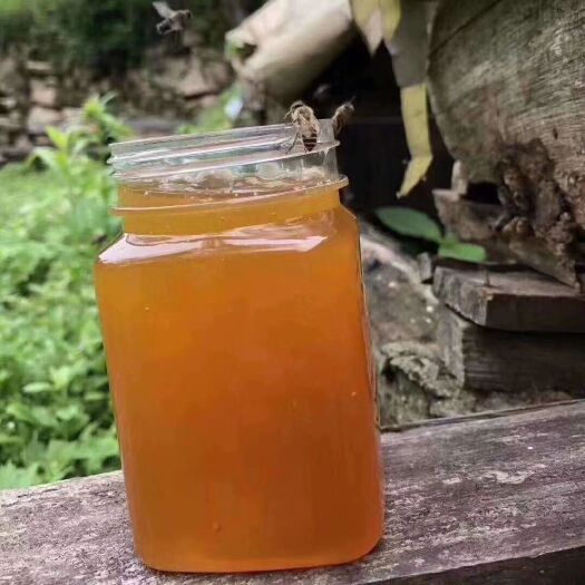 泌阳县 荆条蜜是荆条花蜂蜜都简称也叫荆花蜜