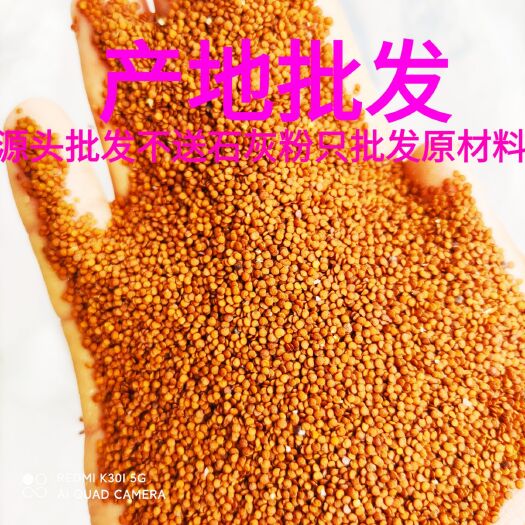 威宁县浆种子 高净度高发芽率 贵州直发货