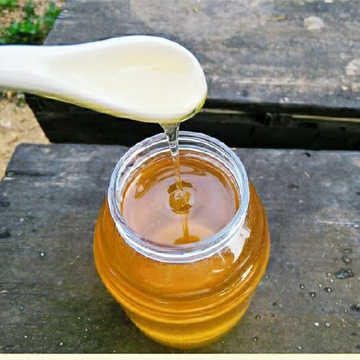 沈阳椴树蜜  农家蜂蜜天然蜂蜜