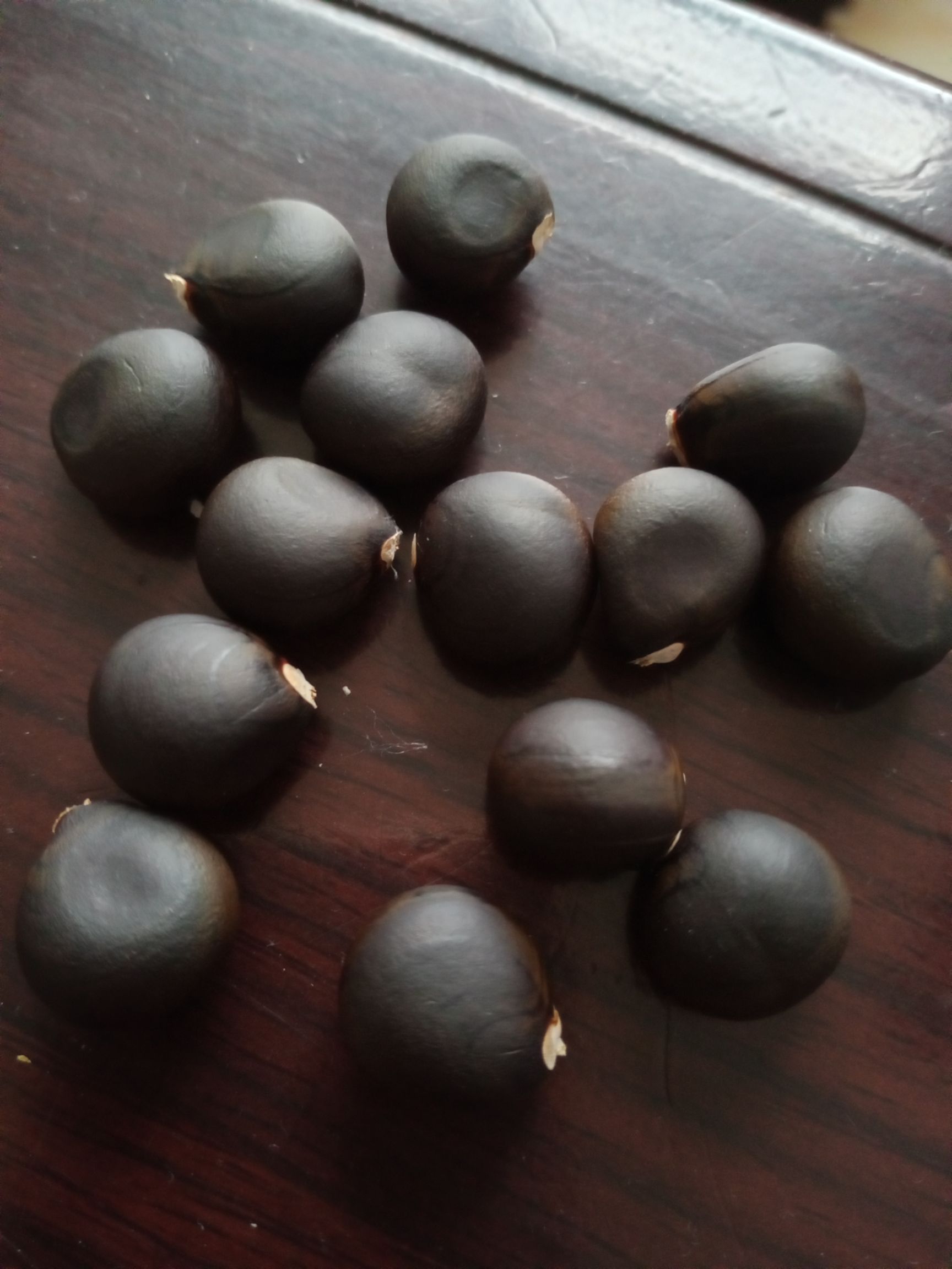  文冠果种子，食用油