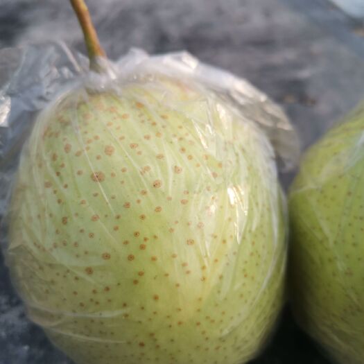 青县 大量出售代购优质鸭梨