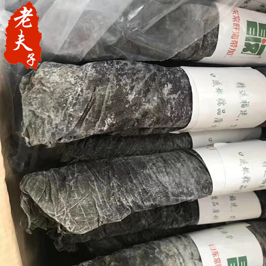 成都鲜海带  海带干货  福建霞浦海带卷 无沙海带卷  跑江湖摆摊热销产品