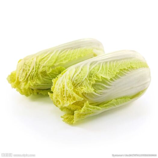 昆明高山娃娃菜 