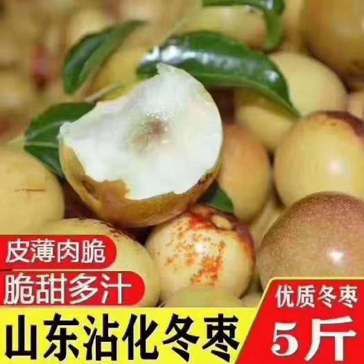 滨州沾化冬枣 直口 50g以上
