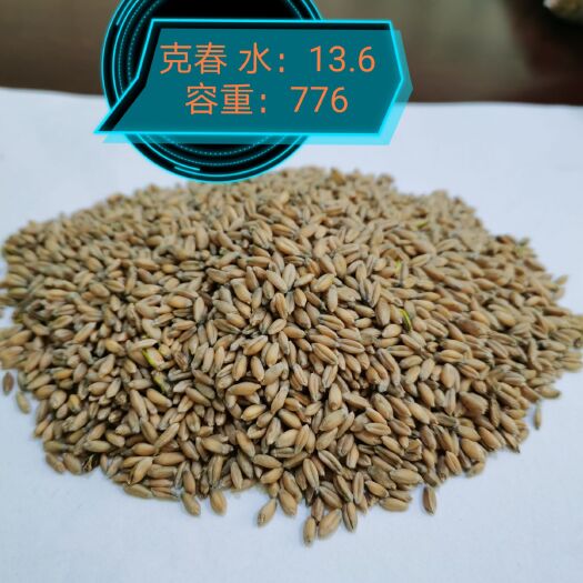 克春6 