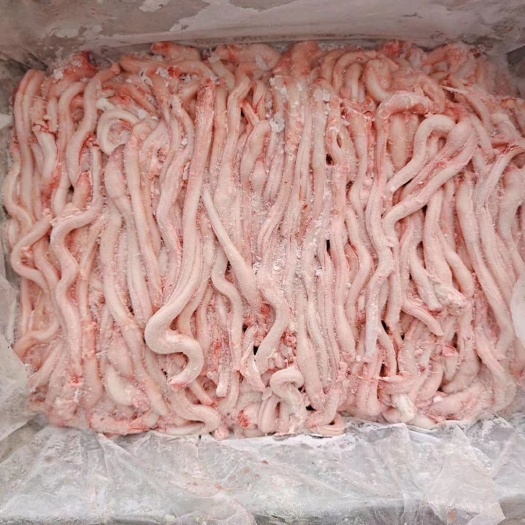 锡林浩特绵羊  内蒙古锡林郭勒草原羔羊鞭，一斤十几条至二十条，烧烤店串店