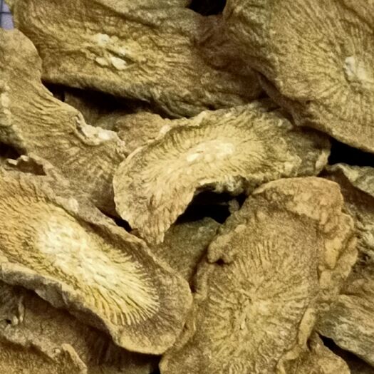 玉林其它全草类   牛蒡根500g克药材正品包邮泡水黄金牛蒡牛棒牛旁根片