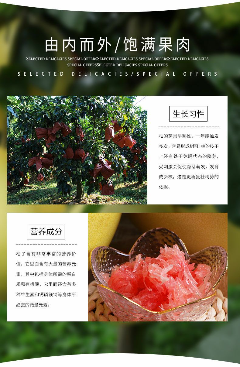 梅州蜜柚 酸甜多汁，现摘新鲜