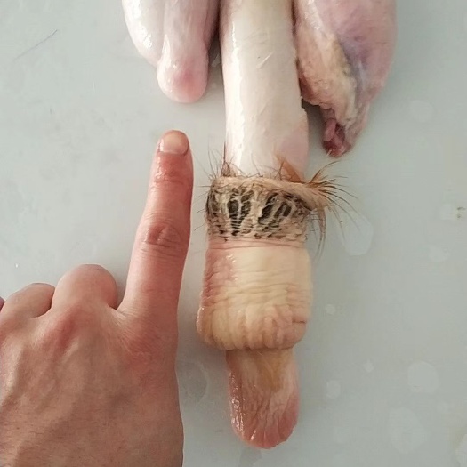 鹿鞭干鹿鞭男士大补