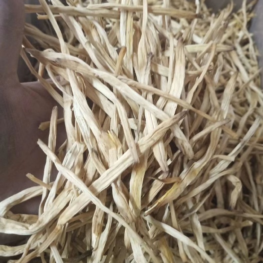 大荔县精品宁夏大白条黄花菜无硫干货量大包邮