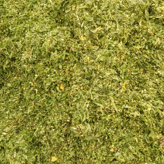 曹县玉米青贮  高蛋白饲草裹包构树青贮