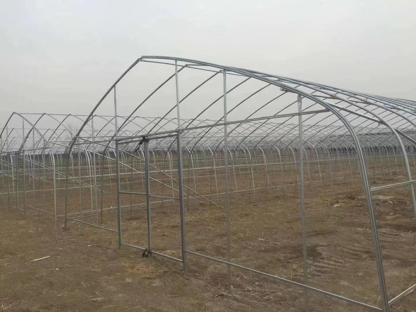 种植简易插地棚 大棚配件齐全 厂家直销 质量保证