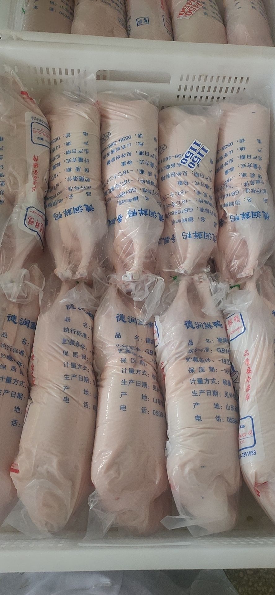  白条鸭