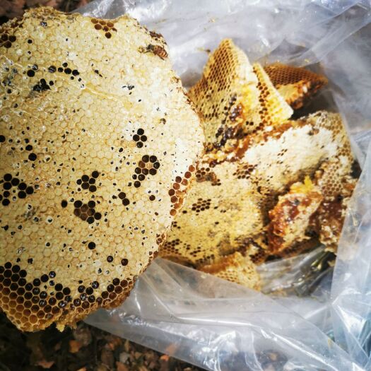 全州县土蜂蜜 全部是大山深处的蜂蜜