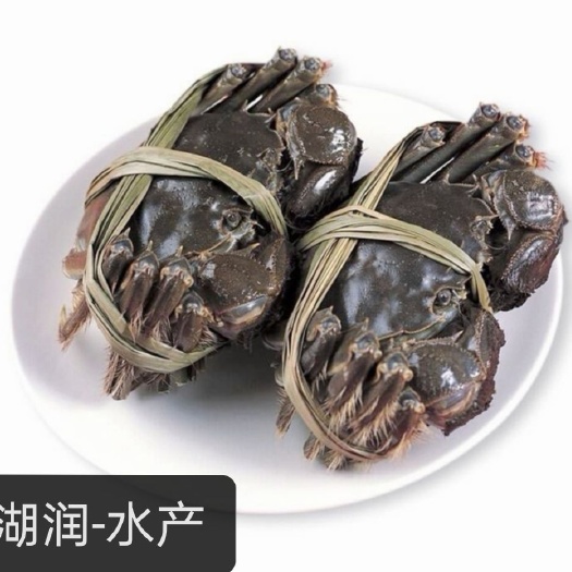 兴化-大闸蟹