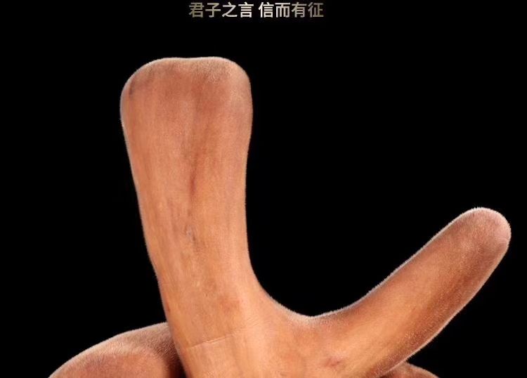 鲜鹿茸整支鲜鹿茸