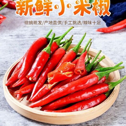 永仁县小米椒  云南高山新鲜 小米辣 ，油辣 自己种植。