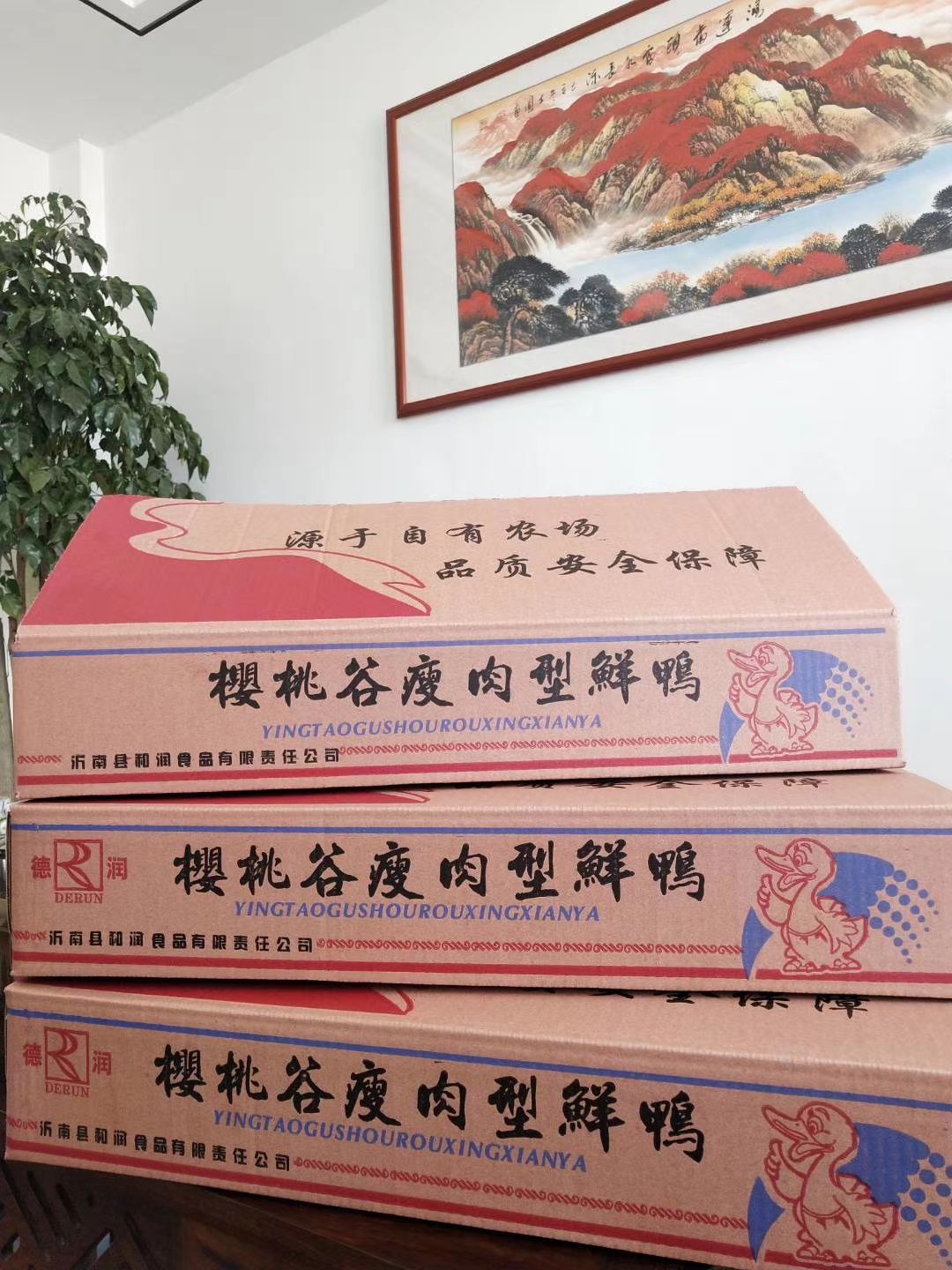  白条鸭