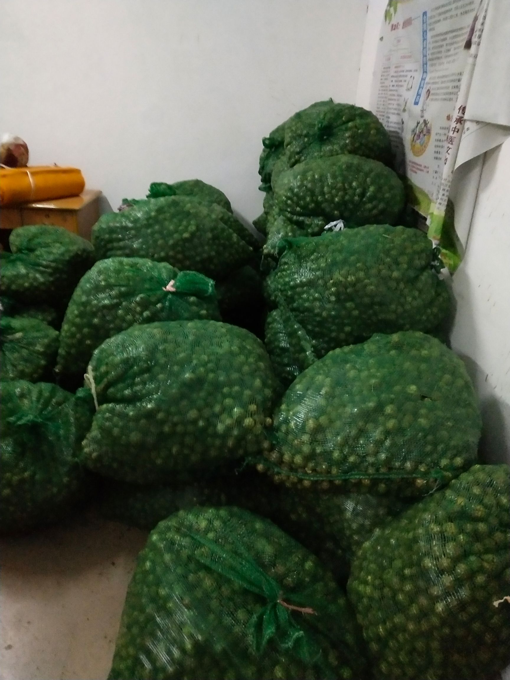 小茶籽 长林系列茶果