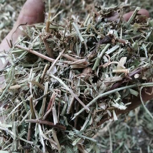 延津县 花生秧  牛马羊的好饲料