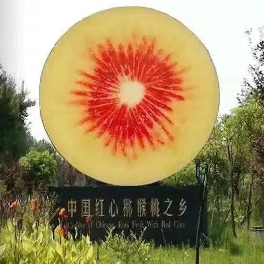 禄丰市四川苍溪红心猕猴桃