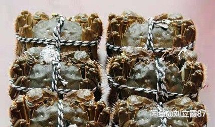 宣城大闸蟹  自产自销，欢迎选购，盛产特大螃蟹，有需要大螃蟹也可以联系我